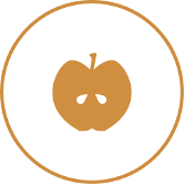 Alimentazione Alimentazione