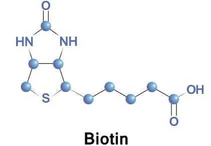 Biotina