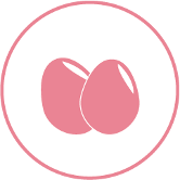 Biotina Biotina