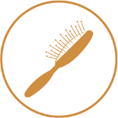 Spazzola Spazzola